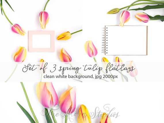 3 Flatlays Bundle Spring Tulip Mockup Set