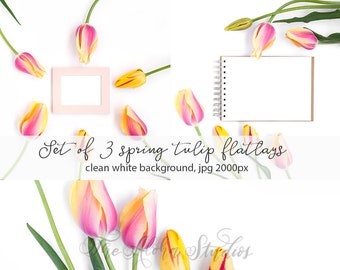 3 flatlays bundle / spring tulip mockup set / instagram white background / picture frame flatlay / pink and yellow tulips styled photo