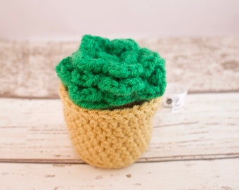 Crochet Succulent - cactus toy - gift for vegan - housewarming gift - stuffed succulent - artificial plant - mini plant - knitted succulent