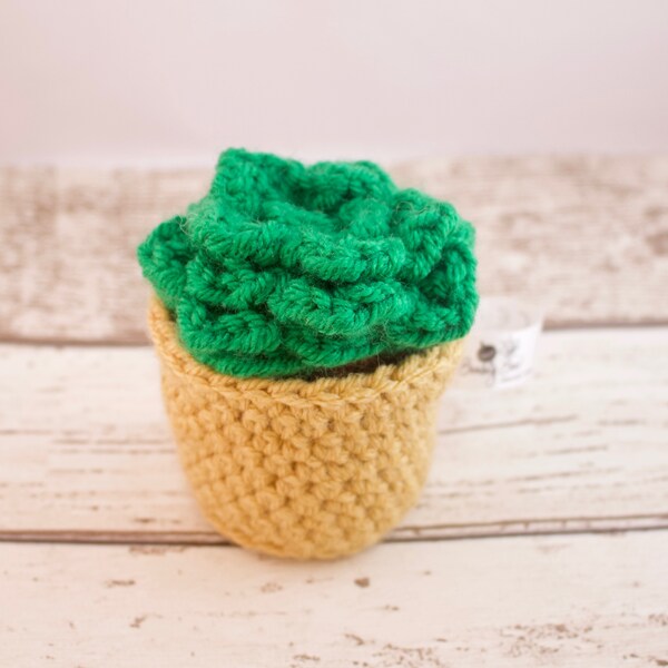 Crochet Succulent - cactus toy - gift for vegan - housewarming gift - stuffed succulent - artificial plant - mini plant - knitted succulent