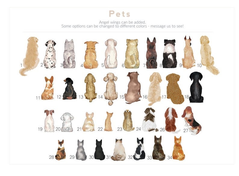 May include: A chart of 34 different dog and cat breeds, illustrated in a watercolor style. Each animal is sitting with its back to the viewer. The animals are numbered 1 through 34.