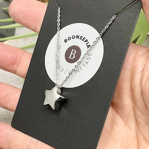 Engraved Star Memorial Necklace: Pet Cremation Ashes Urn, Stainless Steel