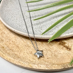 Pu&ograve; includere: Una collana con pendente a forma di stella argentata. Il pendente a forma di stella &egrave; appeso a una catena sottile. La collana &egrave; presentata su un piatto bianco maculato e un vassoio di legno, con foglie verdi sullo sfondo.