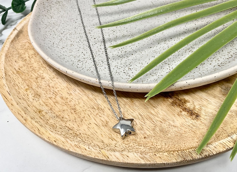 Pu&ograve; includere: Una collana con pendente a forma di stella argentata. Il pendente a forma di stella &egrave; appeso a una catena sottile. La collana &egrave; presentata su un piatto bianco maculato e un vassoio di legno, con foglie verdi sullo sfondo.