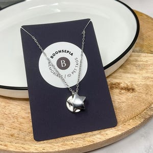 Pu&ograve; includere: Una collana con pendente a forma di stella argentata su una carta blu scuro con il testo "BOONSEPIA MEMORIAL ID PET TAGS". La collana &egrave; esposta su un piatto bianco e un vassoio di legno.