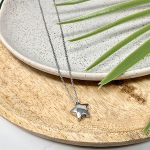 Pu&ograve; includere: Una collana con pendente a forma di stella color argento. Il pendente a forma di stella &egrave; appeso a una catena sottile. La collana &egrave; esposta su un piatto bianco macchiettato e un vassoio di legno, con foglie verdi sullo sfondo. Gioielli.