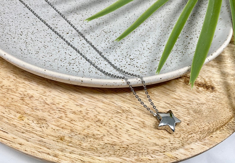 Pu&ograve; includere: Una collana con pendente a forma di stella color argento. Il ciondolo a forma di stella &egrave; appeso a una catena delicata. La collana &egrave; esposta su un piatto bianco maculato e un vassoio di legno, con foglie verdi sullo sfondo.