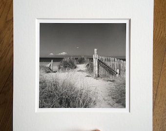 The white bird. Handmade barium silver print. Darkroom photo. Limited edition. Fine art photography.