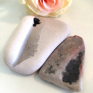 Bulk Sea Pottery, Ceramic, Vintage, Steampunk, Beach Finds, Sea Pottery, Old Pottery, Craft Supplies, Unique Vase, Home Decor, Collectible