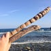 Driftwood, Beach Wood, Surf Tumbled, Driftwood Supplies, Craft Supplies, Caribbean Driftwood, Coastal Decor,Driftwood Pieces,Jewelry Display 