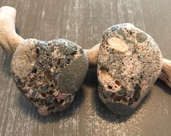 Mineral Sea Rock, Cool Rock, Embedded Rock, Caribbean Rock, Sea Stone, Rock Decor, Beach Decor, Rock, Rare Sea Stone, Surf Tumbled