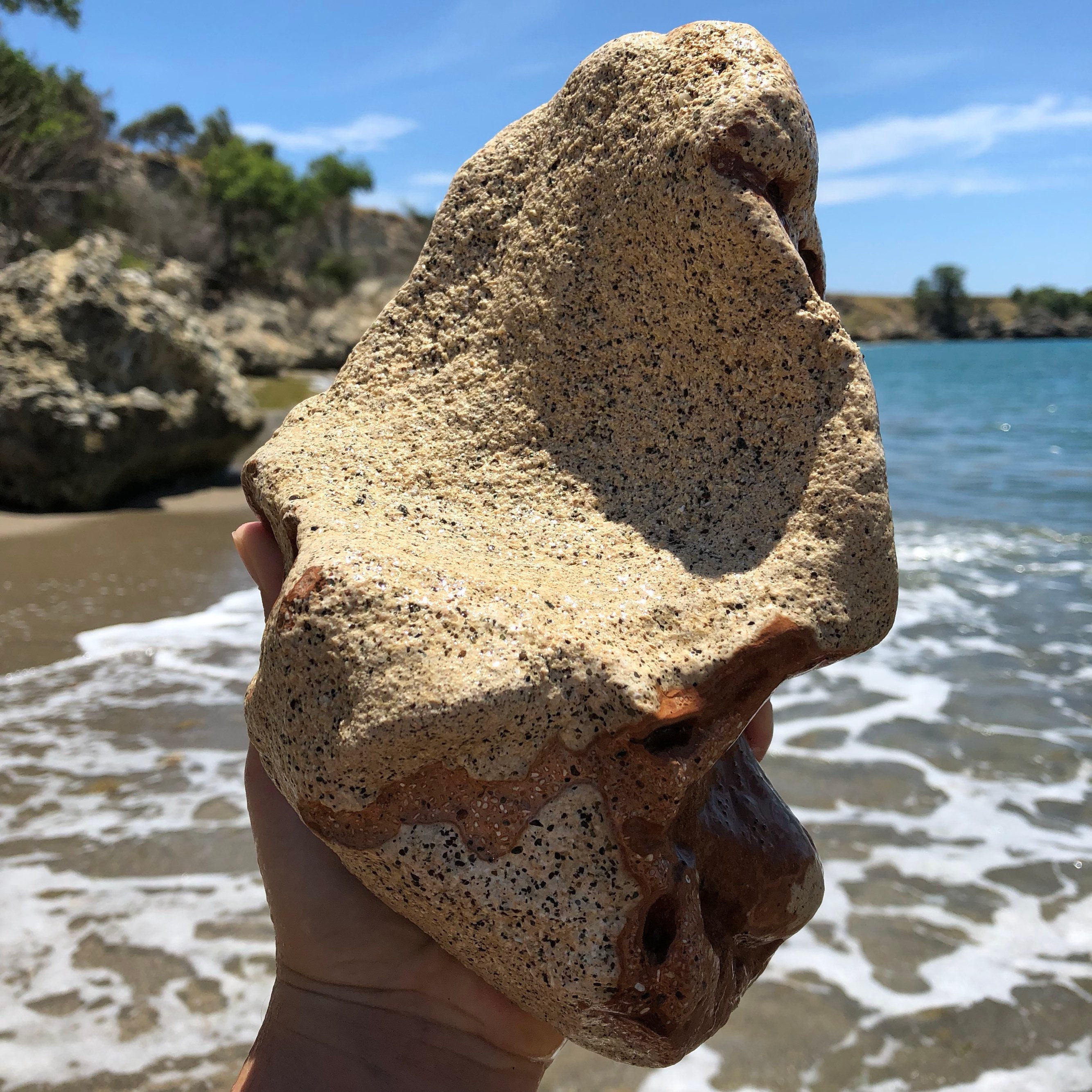 3 Mineral Sea Rocks, Coral Fossils, Embedded Rock, Caribbean Rock, Sea ...