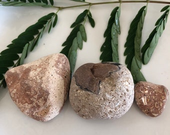 Natural Heart Rocks, Bulk Sea Rock Hearts, Beach Decor, Heart Rock, Rare Sea Stones, Beach Stones, Authentic Sea Stones, Natural Sea Hearts