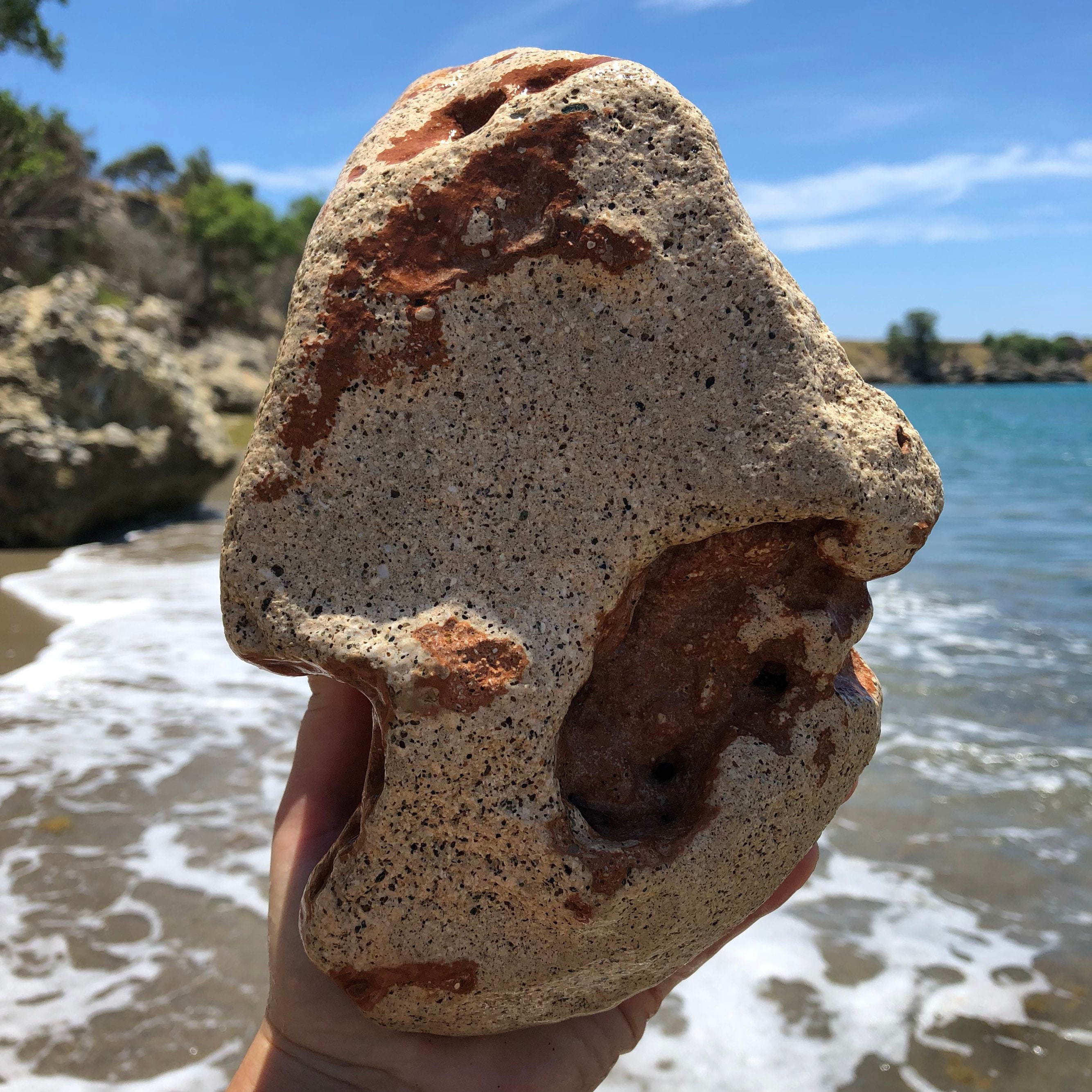 Rare Sea Rocks 3 Mineral Sea Rocks, Coral Fossils, Embedded Rock, Caribbean Rock, Sea ...