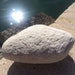 Brain Coral, Fossil Collecting, Natural White Coral Fossils, Fossil, Destination Wedding, Coastal Decor, Aquariums, Fish Tank Decor, Brain 