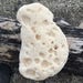 Fossil Coral Rocks, Natural White Coral Fossils, Very Old Fossils, Destination Wedding, Coastal Decor, Embedded Coral Rocks, Fish Tank Decor