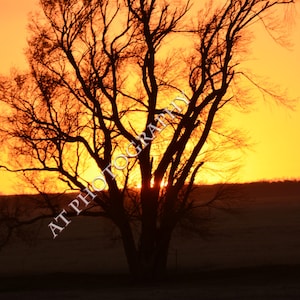 This Kansas Sunset on the Kansas Prairie of Kansas Flint Hills is Kansas Landscape with a Fiery Orange Sunset Glow as a backdrop/ Wall Art