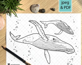 Humpback Whales Colouring Page Printable Coloring Page for adults children Instant Download, Whale Coloring Page, Whale Coloring Sheet Print