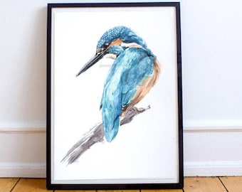 Kingfisher Art Print, "Elvis" Watercolor Bird Painting (A4)