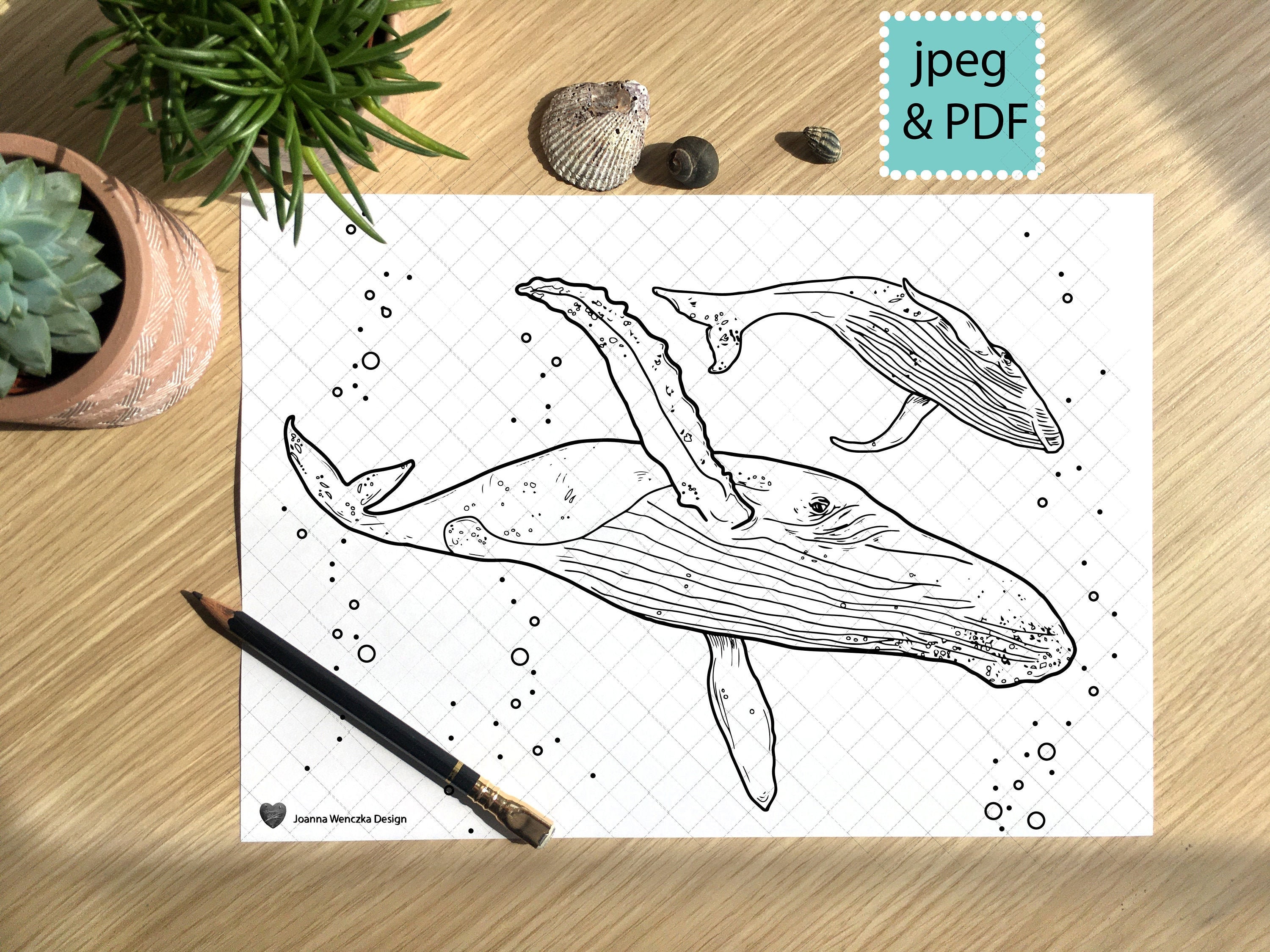 Humpback Whales Colouring Page Printable Coloring Page for | Etsy
