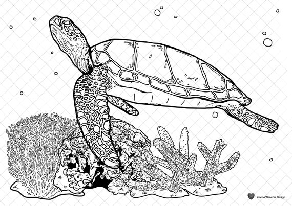 Detailed Sea Turtle Advanced Coloring Page