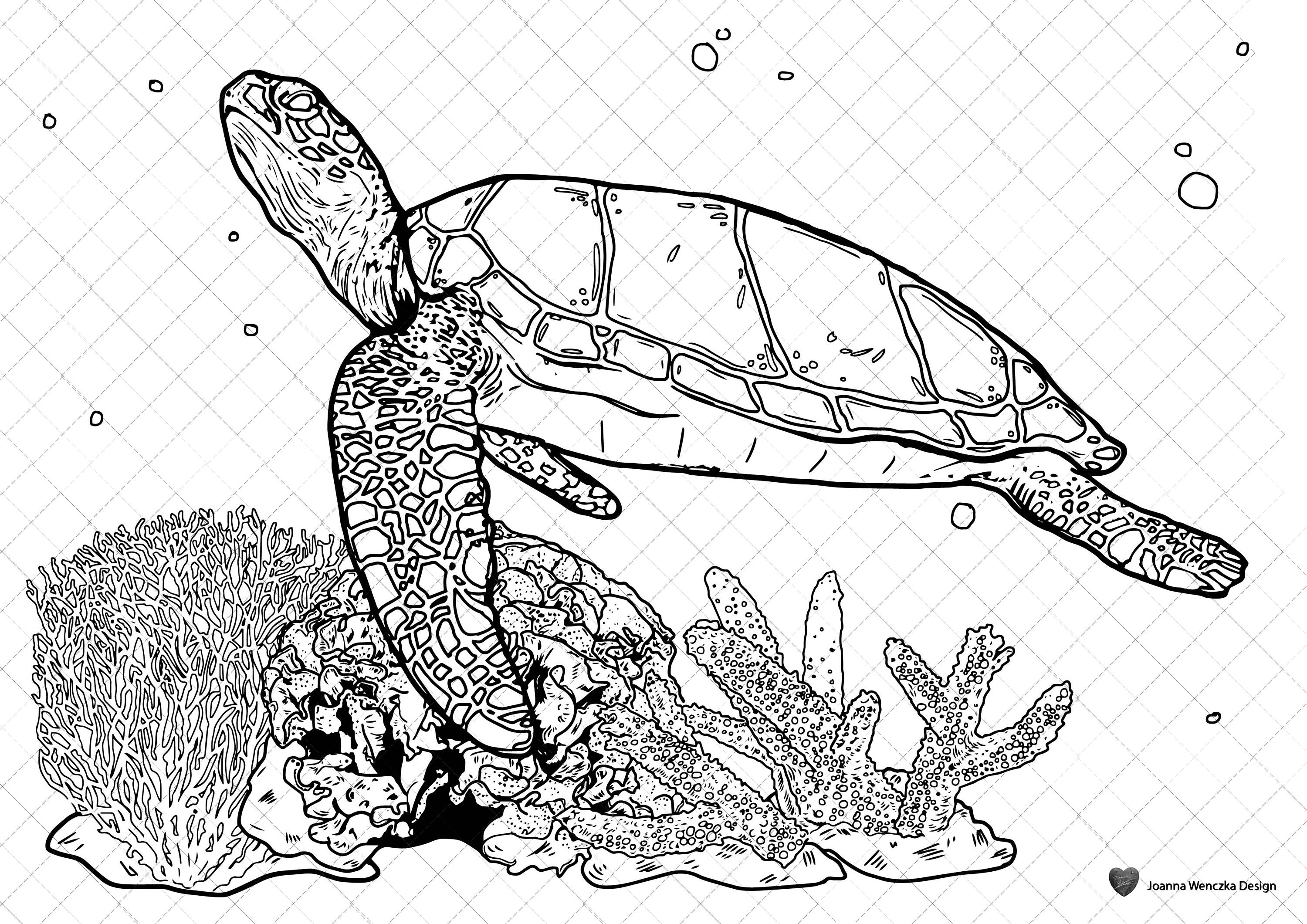 sea turtle colouring page printable coloring page for adults etsy