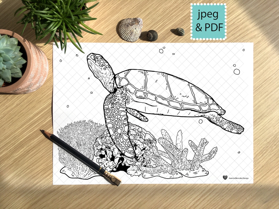 Sea Turtle Colouring Page Printable , Coloring Page for Adults Children ...