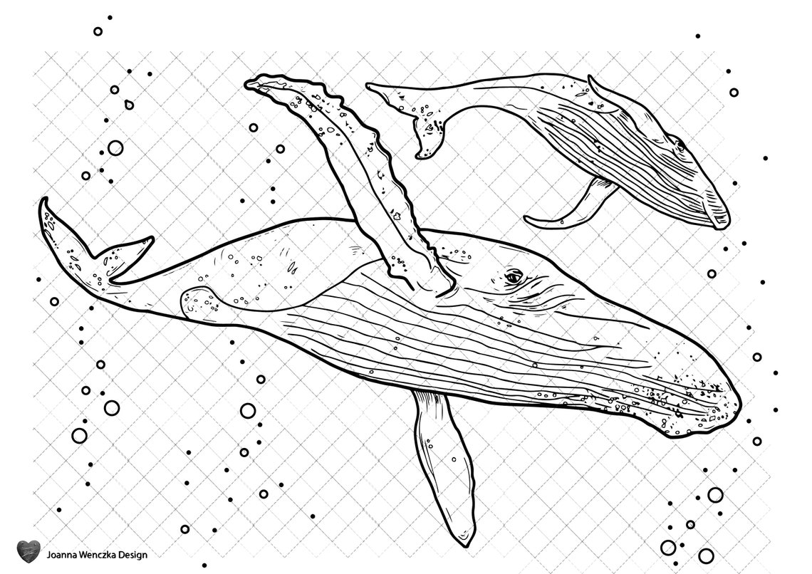 Humpback Whales Colouring Page Printable Coloring Page for Adults ...