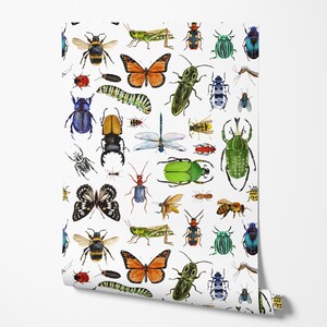 May include: A white background with a repeating pattern of colorful insects, including butterflies, beetles, dragonflies, and grasshoppers.