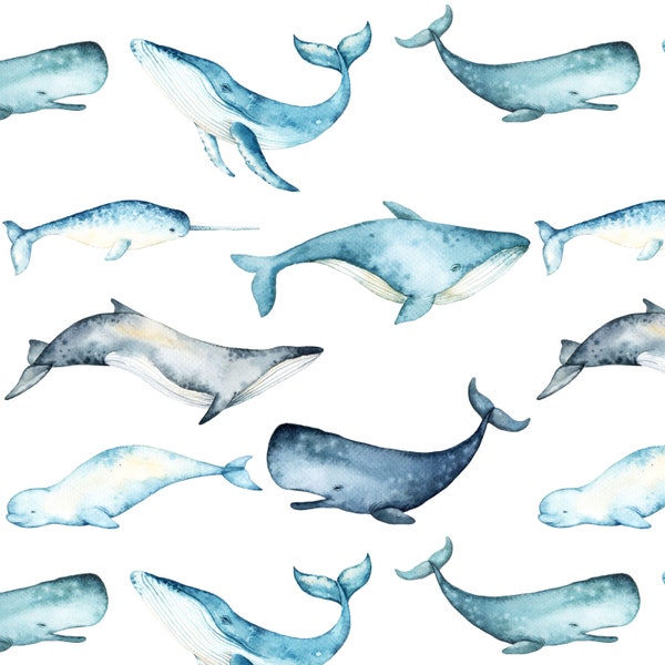 Whale Fabric - Watercolor Whales, Nautical, Marine Mammals, Ocean - Quilting Cotton, Knit, Minky, Fleece, Home Decor Fabric by the Yard