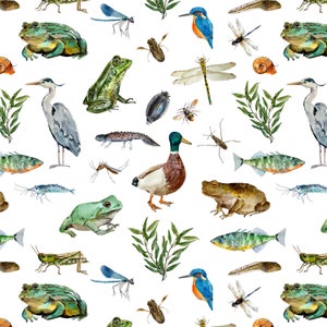 Wildlife Pond Fabric - Frogs, Birds, Fish, Duck, Insects - Quilting Cotton, Poplin, Jersey Knit, Minky, Fleece Fabric by the Yard. Boys, Bug