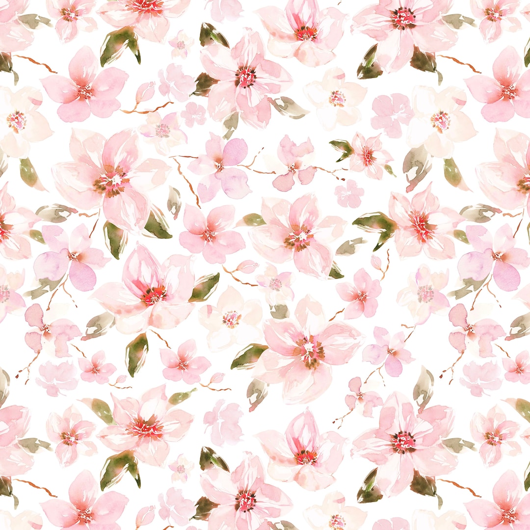 cherry blossomさま専用　玄米 cherry blossomさま専用 玄米 Amazon.com : Bonsai Tree Seeds
