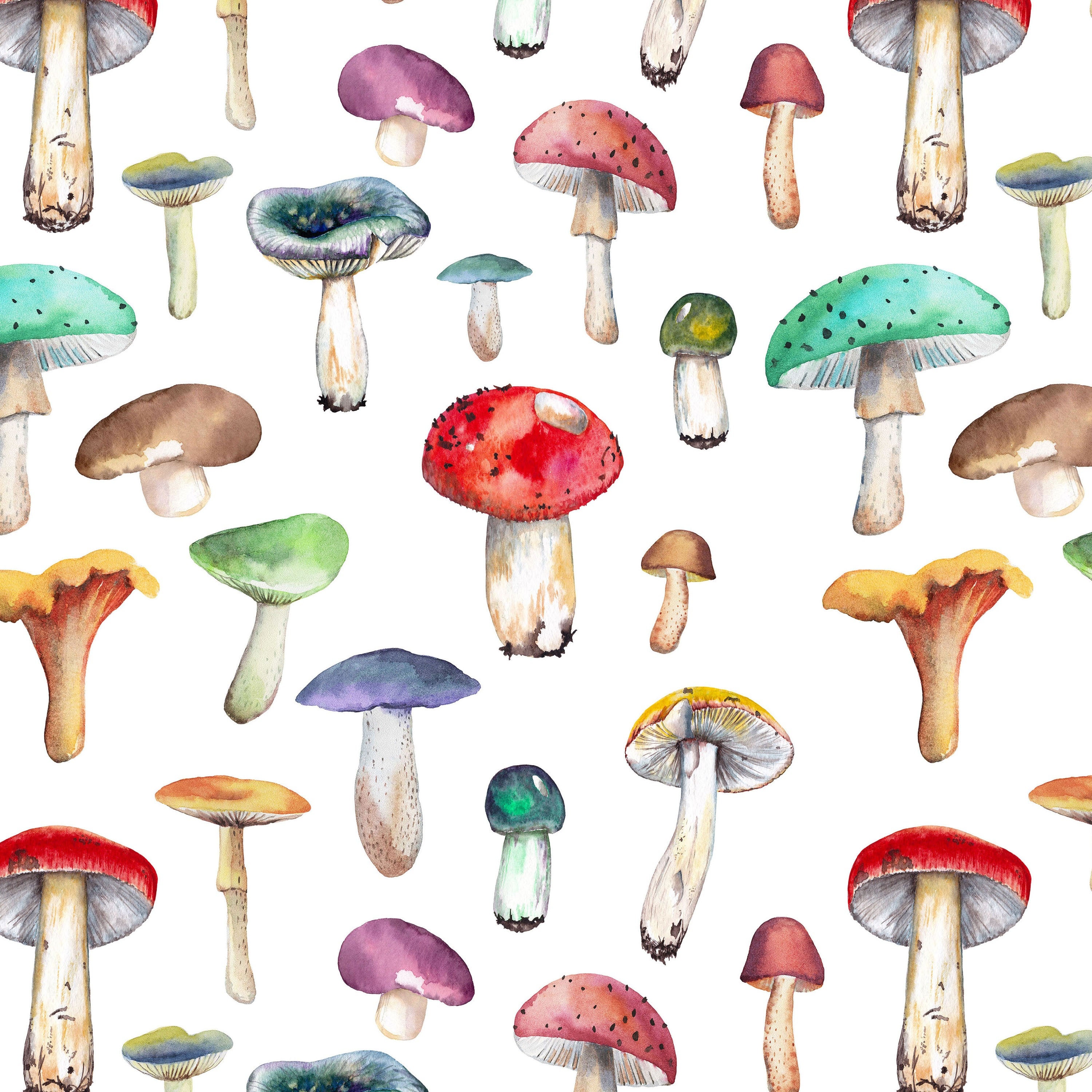 Watercolor Mushrooms Fabric by the Yard. Quilting Cotton Etsy