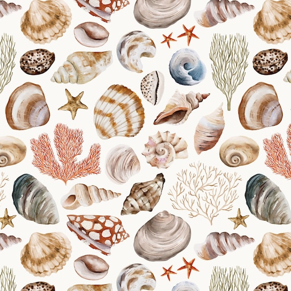 Sea Shells Fabric - Coastal Fabric, Ocean, Summer - Quilting Cotton, Poplin, Minky, Home Decor Upholstery Fabric by the Yard