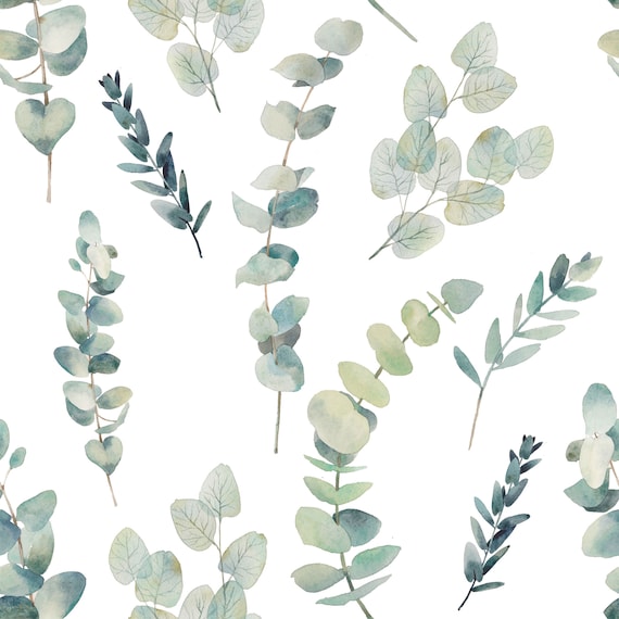 eucalyptus jersey