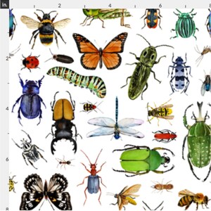 Bugs Butterflies and Insects Fabric. Quilting Cotton Organic - Etsy