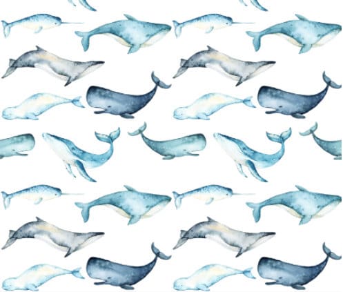 Fabric coupon 50x70 cm whales