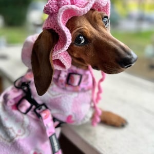 Dachshund, Sausage Dog, Weiner Dog, Dackle, Bucket Hat, Dog Hat, Crochet Hat, Pet Fashion, Dog Hat, Dachshund Clothes, Teckel, Doxie