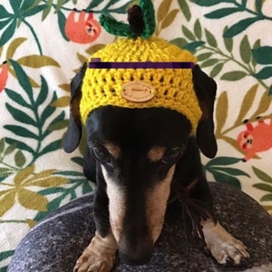 Puede incluir: Un dachshund negro y marr&oacute;n con un gorro de pi&ntilde;a de crochet amarillo con una etiqueta de madera que dice "Crocheted goods and accessories".