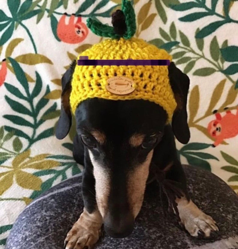 Puede incluir: Un dachshund negro y marr&oacute;n con un gorro de pi&ntilde;a de crochet amarillo con una etiqueta de madera que dice "Crocheted goods and accessories".