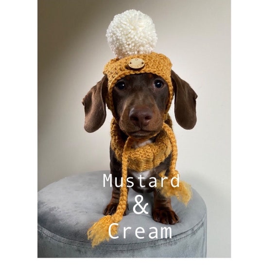 Dachshund Beanie Hat Dachshund Beanie Hat