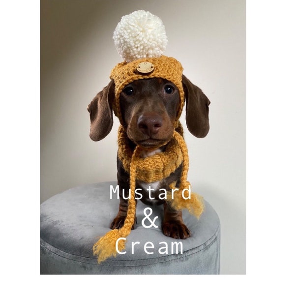 Dog Beanies, Crochet, Sausage Dog, Dachshund, Weiner Dog, Beanie, Large Dogs, Winter Hats, Pet Photography Prop, Great Danes, Poodles, Doxie