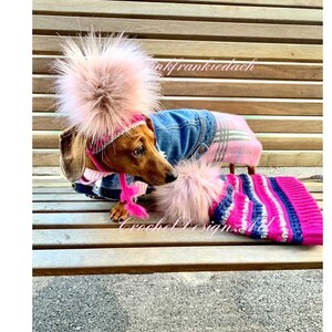 Puede incluir: Un dachshund con un gorro de rayas rosa y azul con un gran pomp&oacute;n rosa, una chaqueta de cuadros rosa y blanca y una chaqueta vaquera. El perro est&aacute; sentado en un banco de madera.