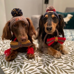 Sausage Dog, Dachshund, Dog Beanies, Dog hats, Dog Fashion, Pom-poms, Pet Couture, Bow Tie image 1