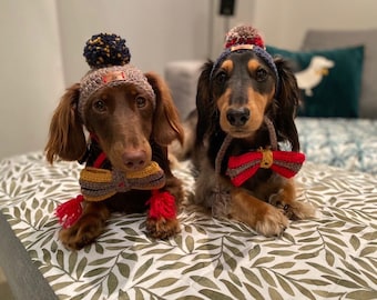 Perro salchicha, Dachshund, Gorros para perros, Sombreros para perros, Moda canina, Pompones, Alta costura para mascotas, Pajarita