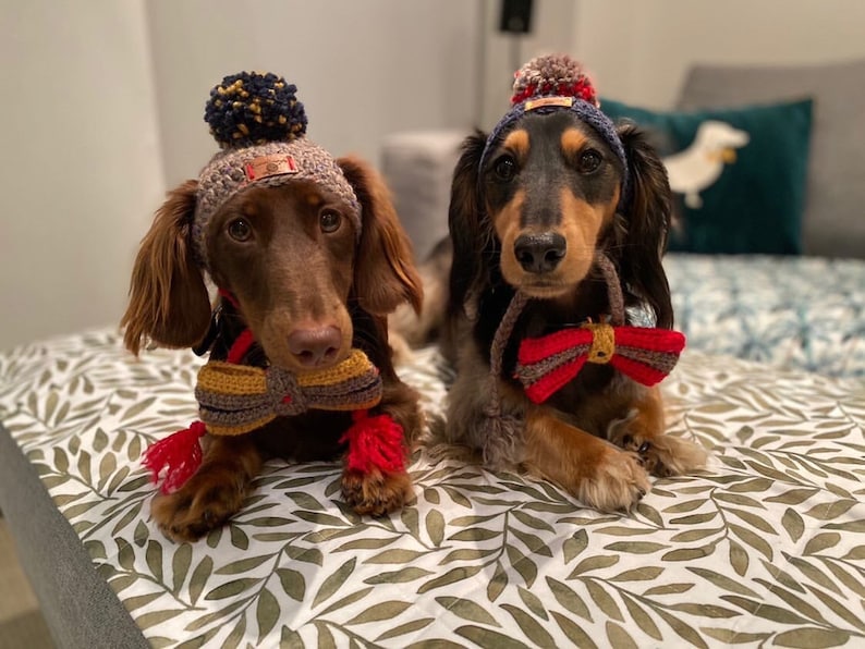 Sausage Dog, Dachshund, Dog Beanies, Dog hats, Dog Fashion, Pom-poms, Pet Couture, Bow Tie image 1