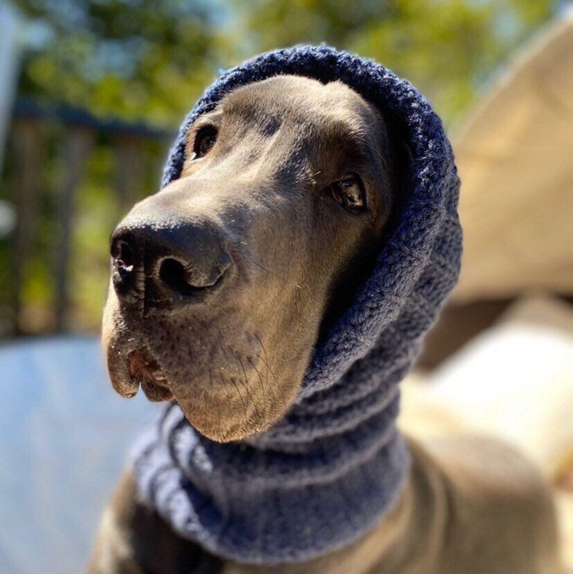 Dog Snoods Etsy