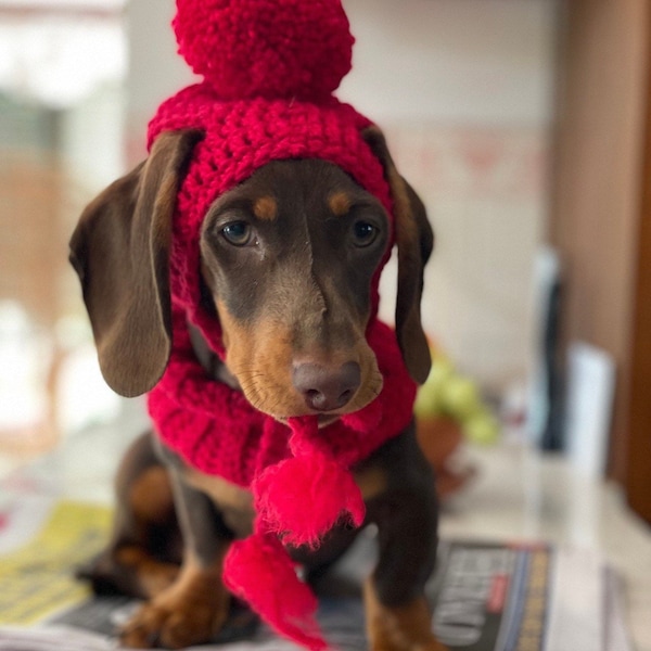 Gorros para perros, crochet, perro salchicha, dachshund, perro salchicha, gorro, perros grandes, sombreros de invierno, accesorio para fotografía de mascotas, gran danés, caniche, doxie