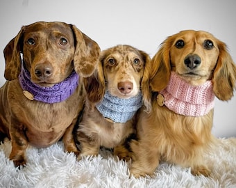 Cuello de lana para perro, calentador de cuello para perro salchicha, gorro para mascota