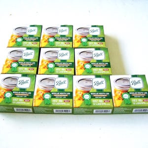 Ball Canning Jar Lids Regular Mouth 10 Boxes of 12, Lid Count 120 Lids Total, Canning Supplies, Prepper Supplies, American Product, Can Lids